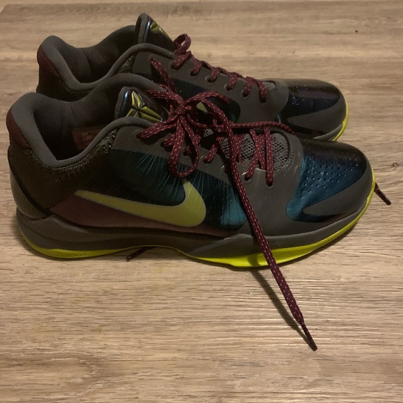 Kobes - Picture 2 of 5